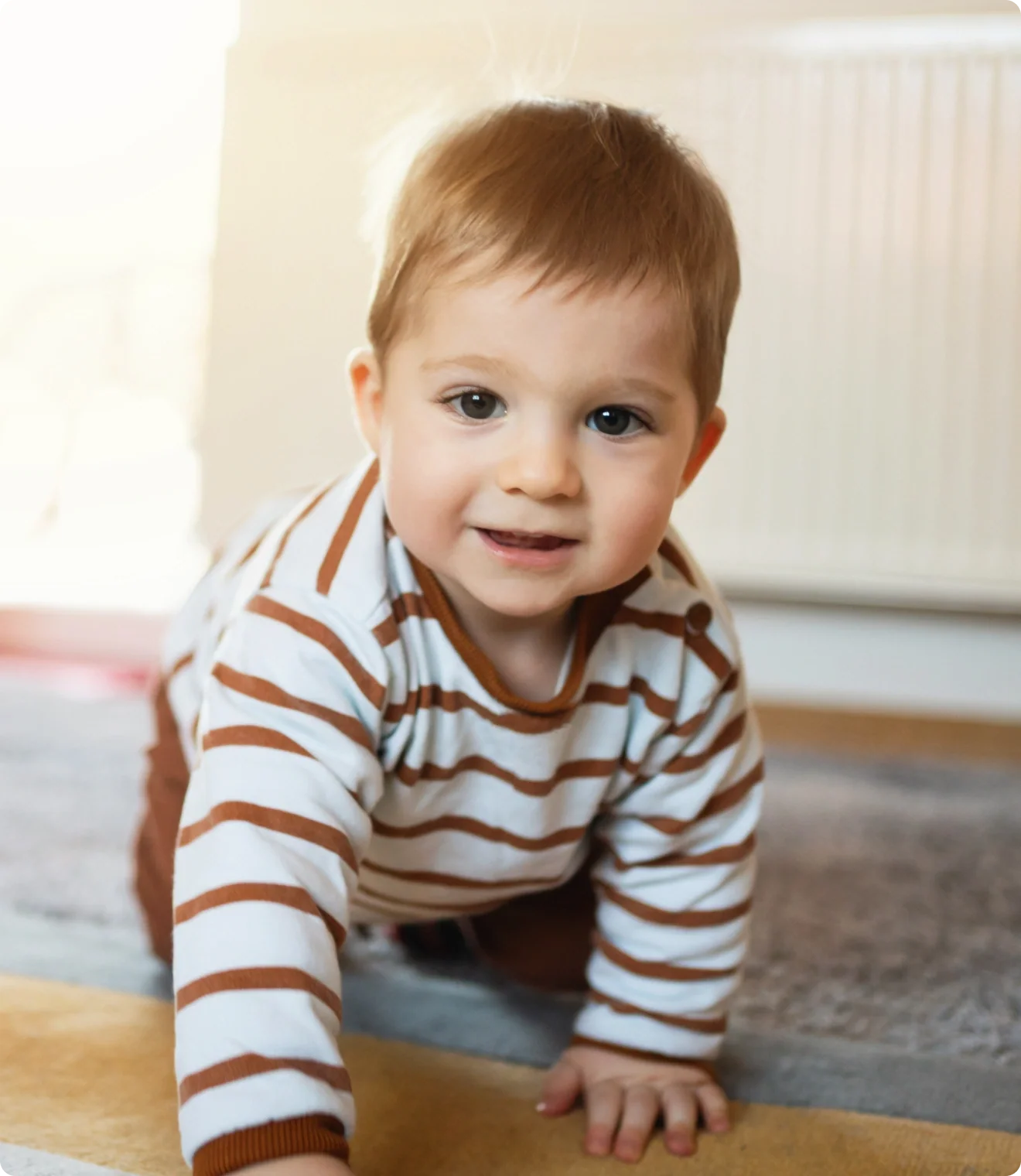 Crawler (9-12 months)