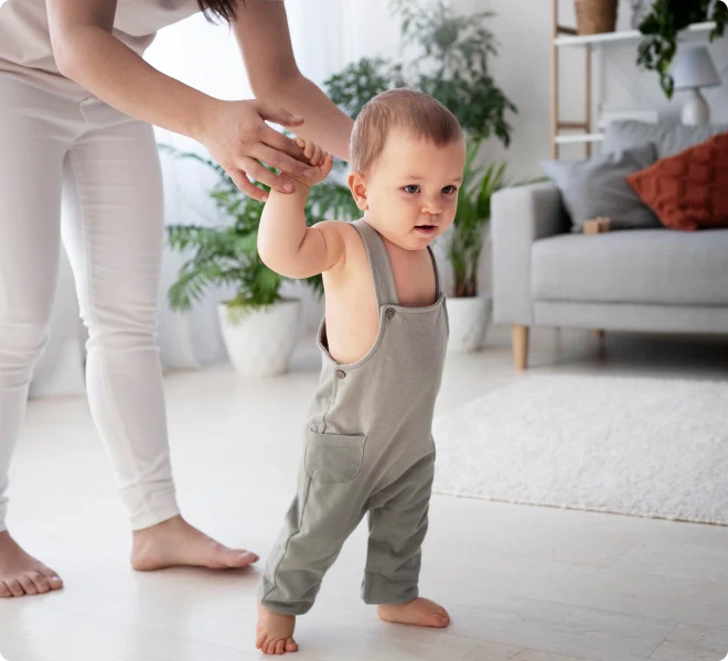 Walker (12-18 months)